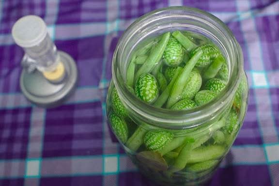 Understanding the Craft of Pickling